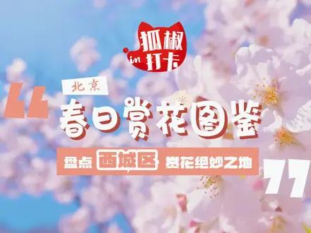 四月芳菲，狐椒文旅带你打卡北京西城赏花好去处！ 