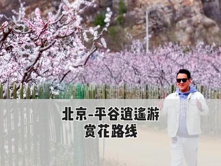 北京平谷赏桃花自驾游路线攻略，漫山遍野的桃花海太迷人了